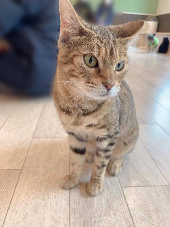 いよいよ明日から????