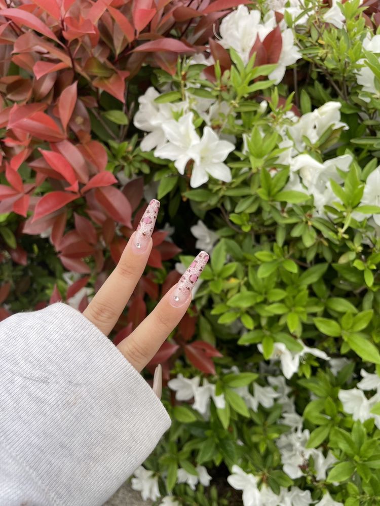 新人!未経験! れいか（高松Sクラス）