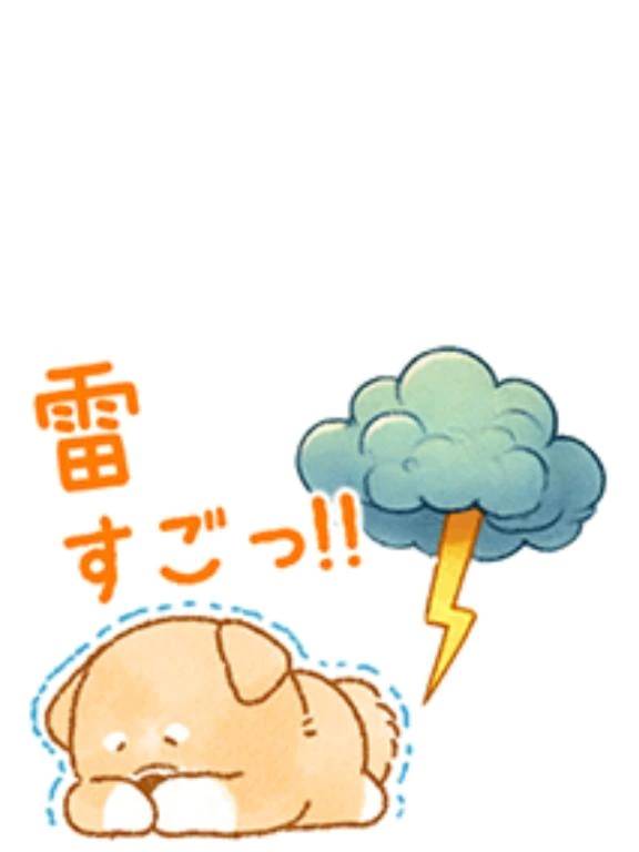 雨と雷⚡⚡