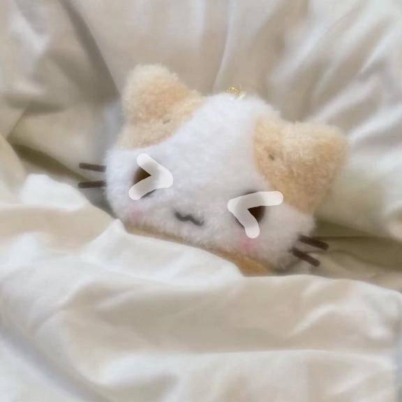 こんな日は( ･̆ ･̆  )