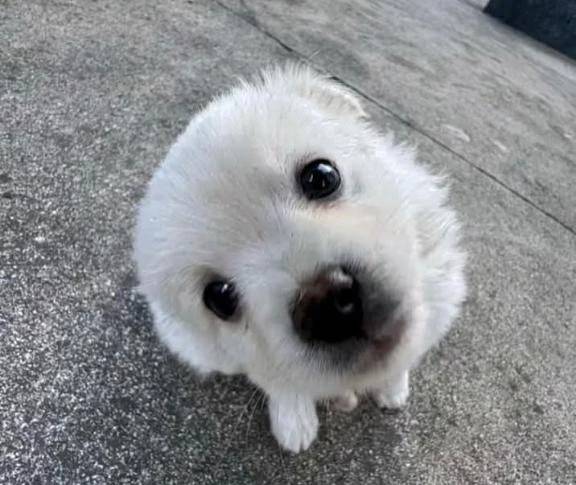 暑すぎるね？