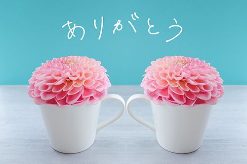 ありがとうございます♡