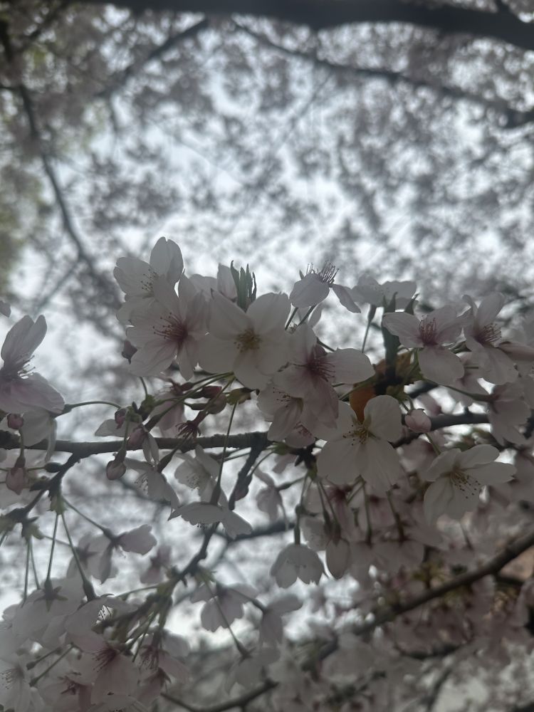 今日