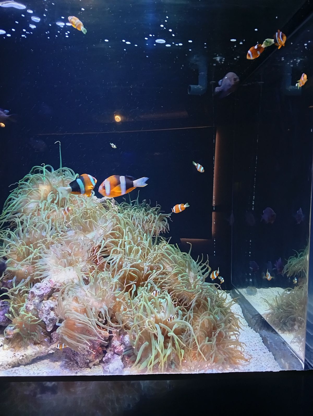 出勤しましたー！