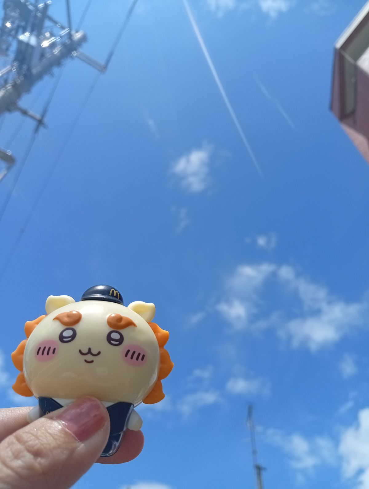おはよーございます(*´ω｀*)