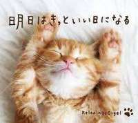 ☆*:.｡. o(≧▽≦)o .｡.:*☆
