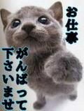 今日から❤︎