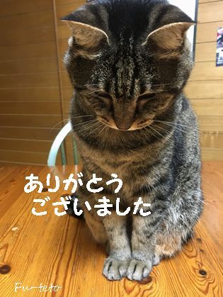 感謝❤︎