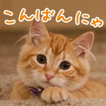 おつかれさま❤︎