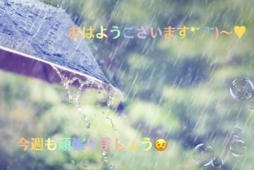 体験ひかり(未経験)(激安ヘルス セクシーマダム)