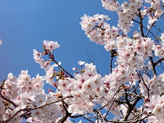 明日から