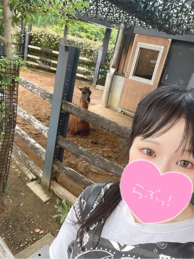 お知らせ??????