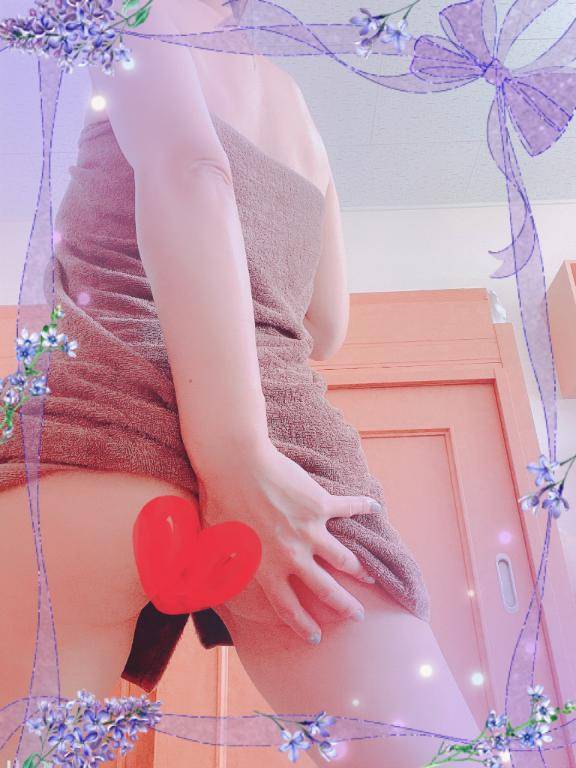 今日のお写真