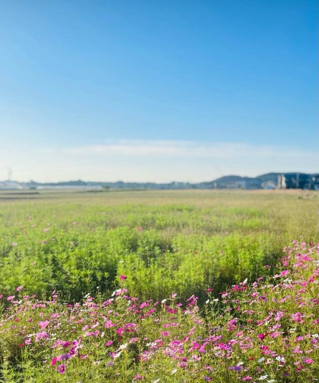 ?ありがとうございました^ ^?