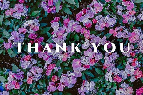 ひゃっほい＼＼\\? ? ?//／／