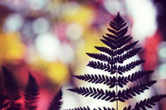 2025年最後です?