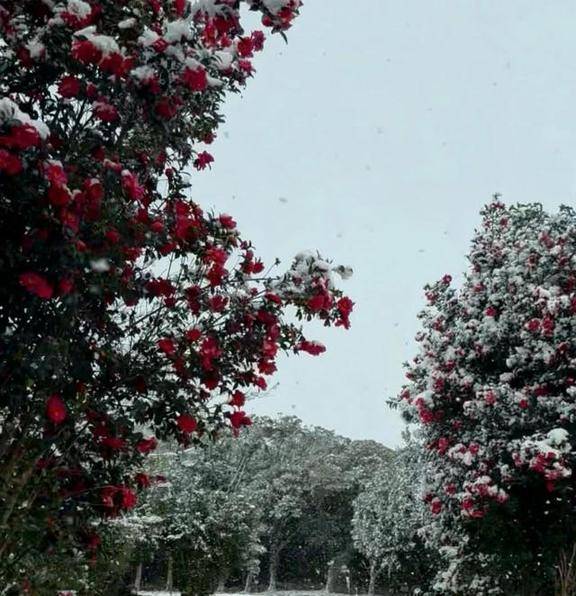 ♡ありがとうございました^ ^♡