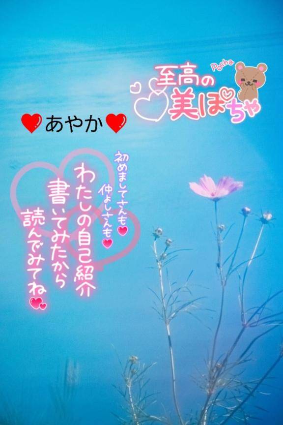 改めて自己紹介