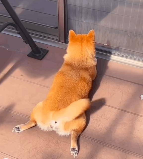 オキニトークからのご予約ありがとうございます♡