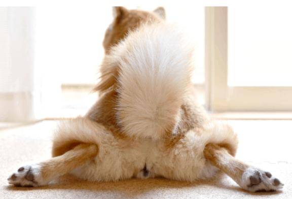 スタートご予約ありがとうございます♡