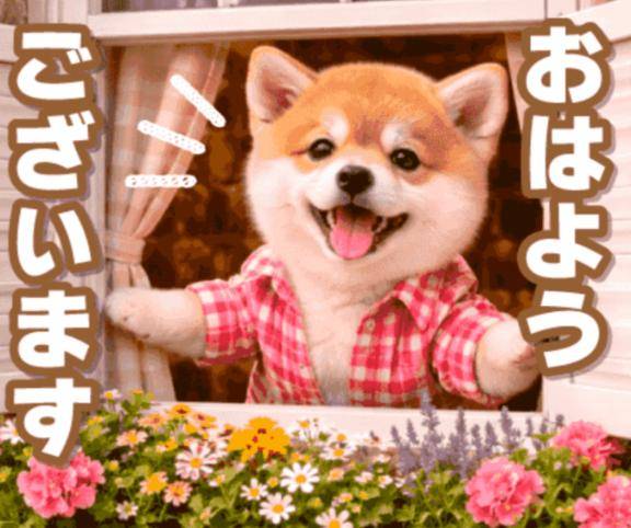 本日も夜20時から♡