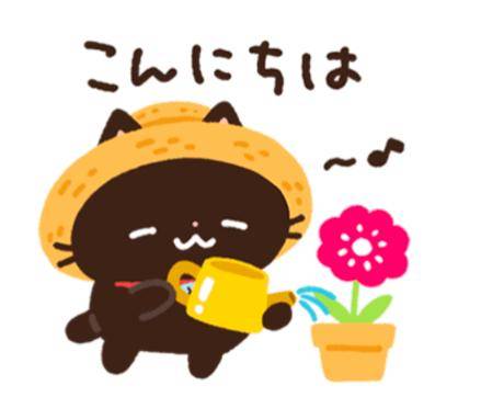 雨だけど