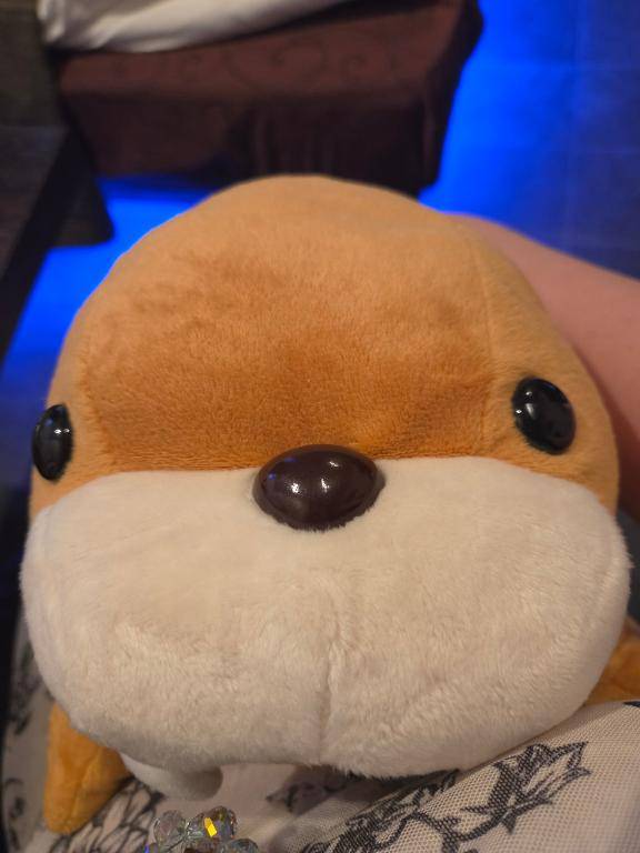 嬉しすぎるんだが