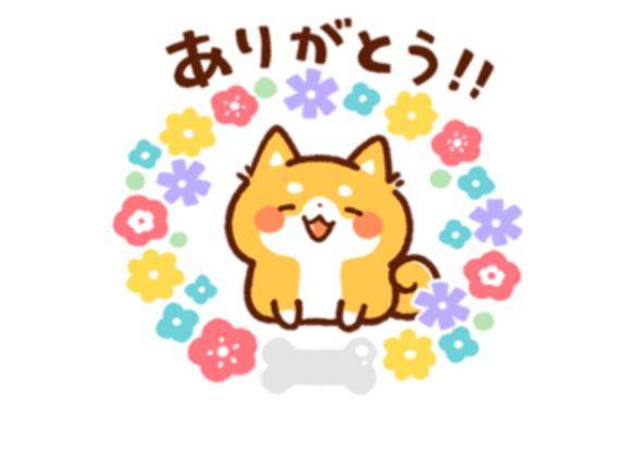 キング211ご新規様♡