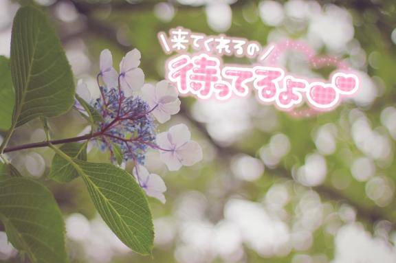 溶けても出勤