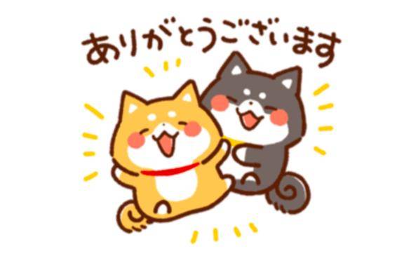 フィールご新規様♡