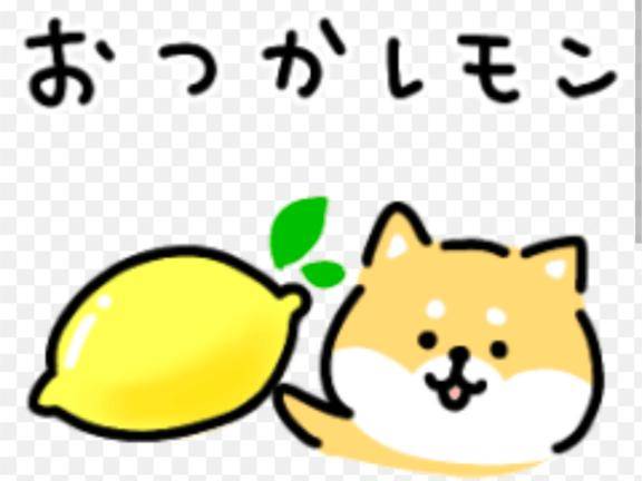 本日2時まで♡