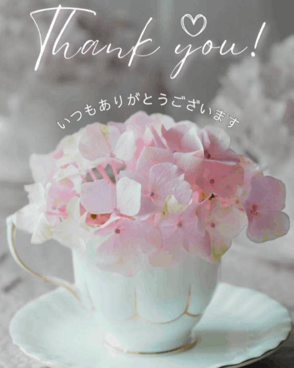 8月23日のお礼💌