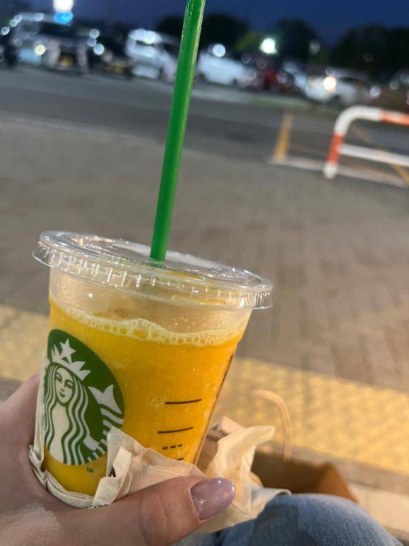 今日はお休み〜