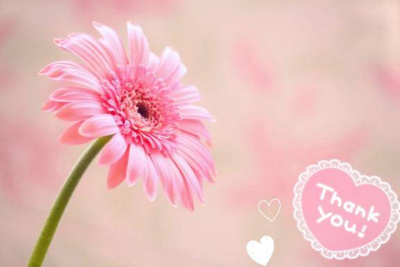 お礼💌