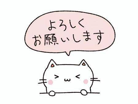 11時から出勤しております♡