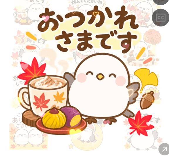 本日夜20時出勤♡