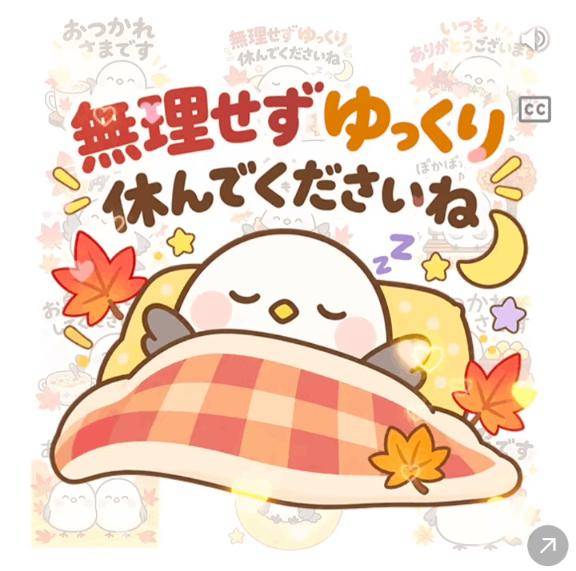 MAXご新規様♡