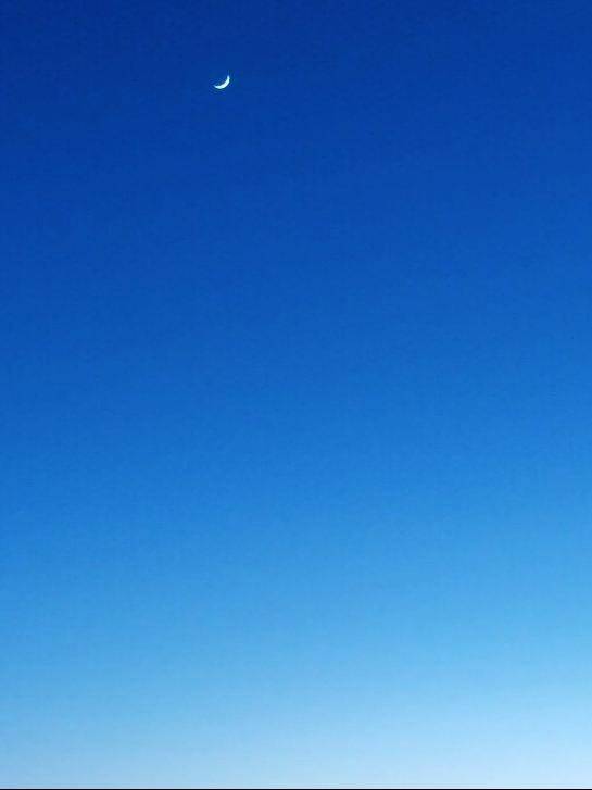 ありがとう🌙