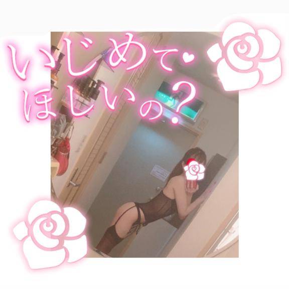 お礼💌讃岐うどん