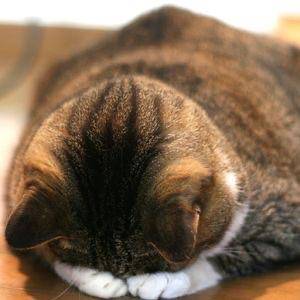 すみませんえん(;_;)