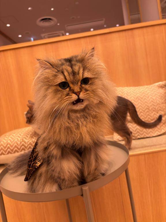 本当の年内ラスト‼️