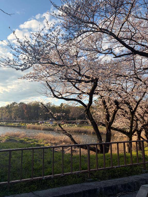 ピンク🎀💕💓💗