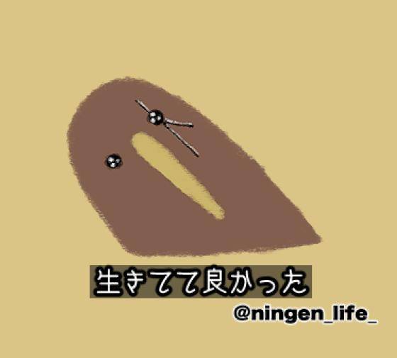 🎀お礼🎀