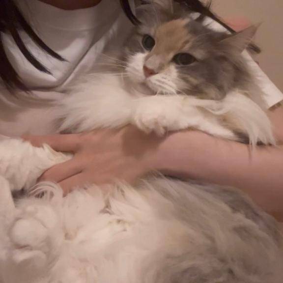 お題：ペット飼うならこれだけは覚悟して！ってありますか？に回答♪