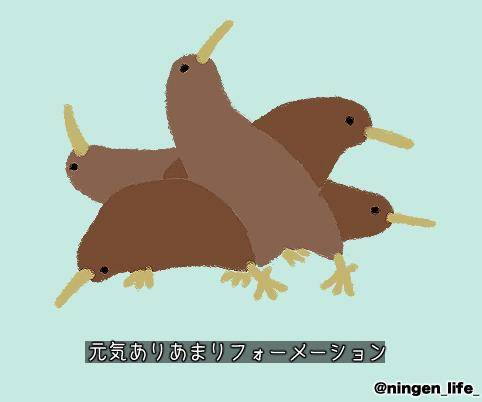 おぷしょん💕