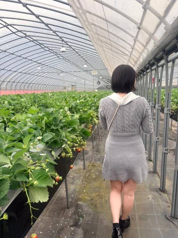 優柔不断ですわ