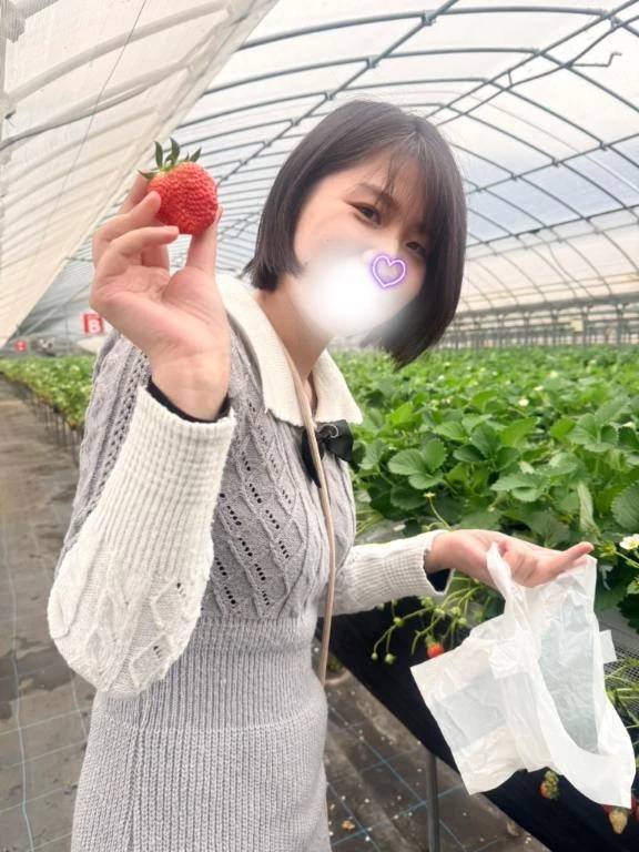 充実した一日