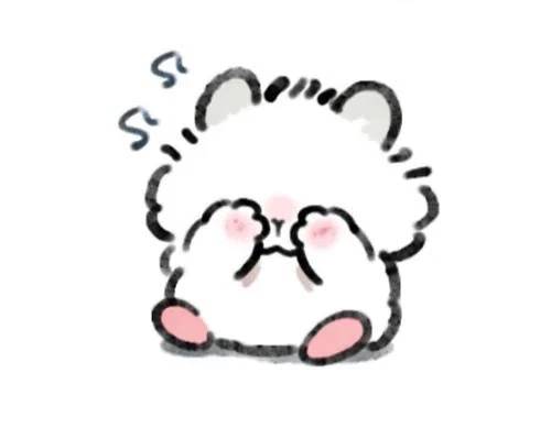 今日から！