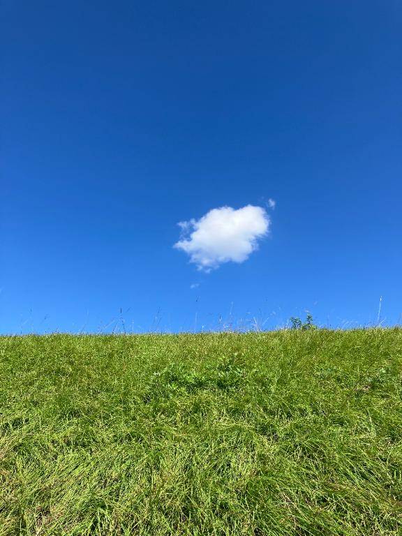 [お題]from:キャンセルやだ～！さん