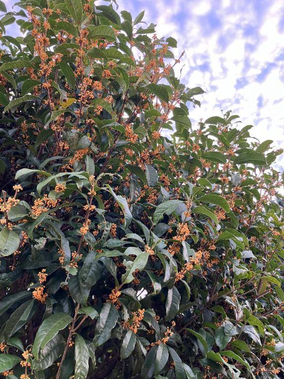 [お題]from:プッチンプリンさん